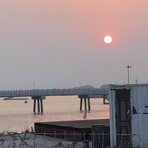 www91成人色情网
