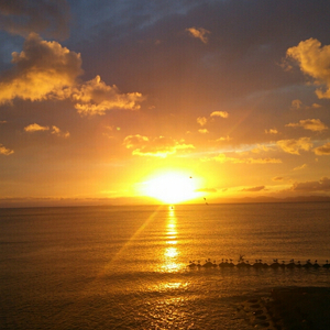 www91成人色情网
